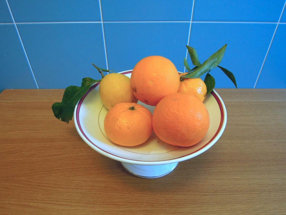 Casa De Angelis Orange & Blue Apartment ซานตาเญลโล ภายนอก รูปภาพ